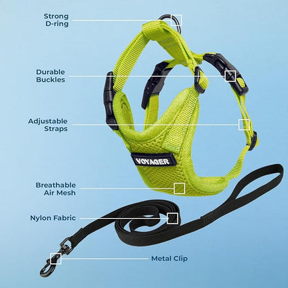 Voyager Step-in Lock Adjustable Cat Harness w. Cat Leash Combo Set with Neoprene Handle 5ft - Supports Small, Medium and Large Breed Cats by Best Pet Supplies - Lime Green, XS