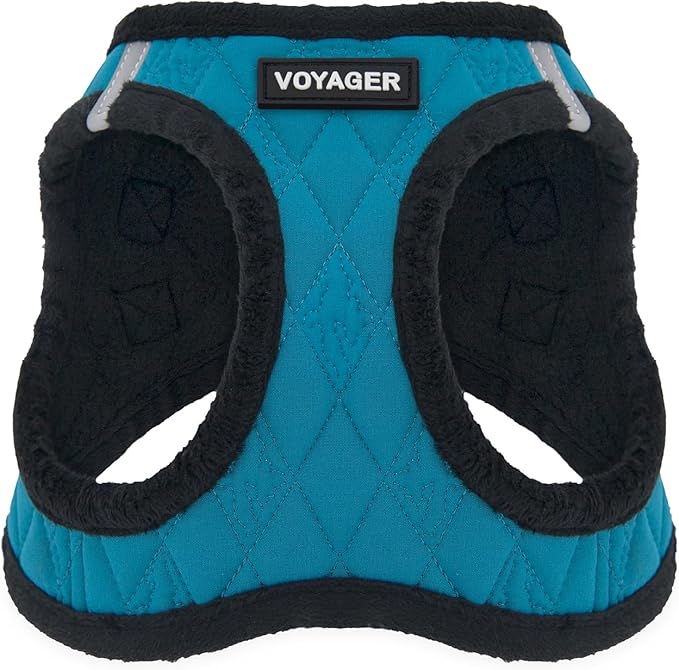 Best Pet Supplies - All Weather Mesh / Plush, Reflective, No Pull Harness for Small, Medium Dogs, Cats - Secure with Hook & Loop Fastener, Buckle, Double D-Rings - Turquoise Plush, L