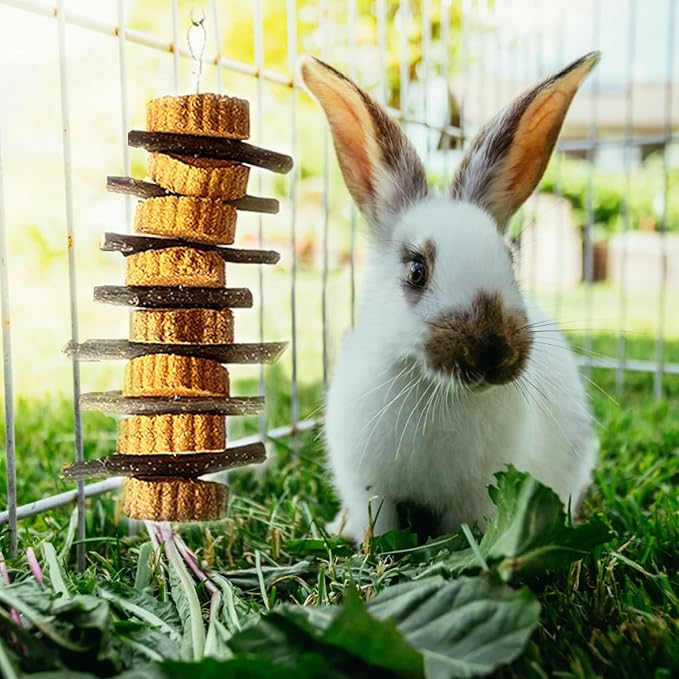 kathson Natural Small Animal Chew Toys for Teeth,4 PCS Rabbit Hanging Chewing Treats with Natural Organic Apple Stick Timothy Grass Carrot Cake for Hamsters Squirrel Guinea Pig Rabbits