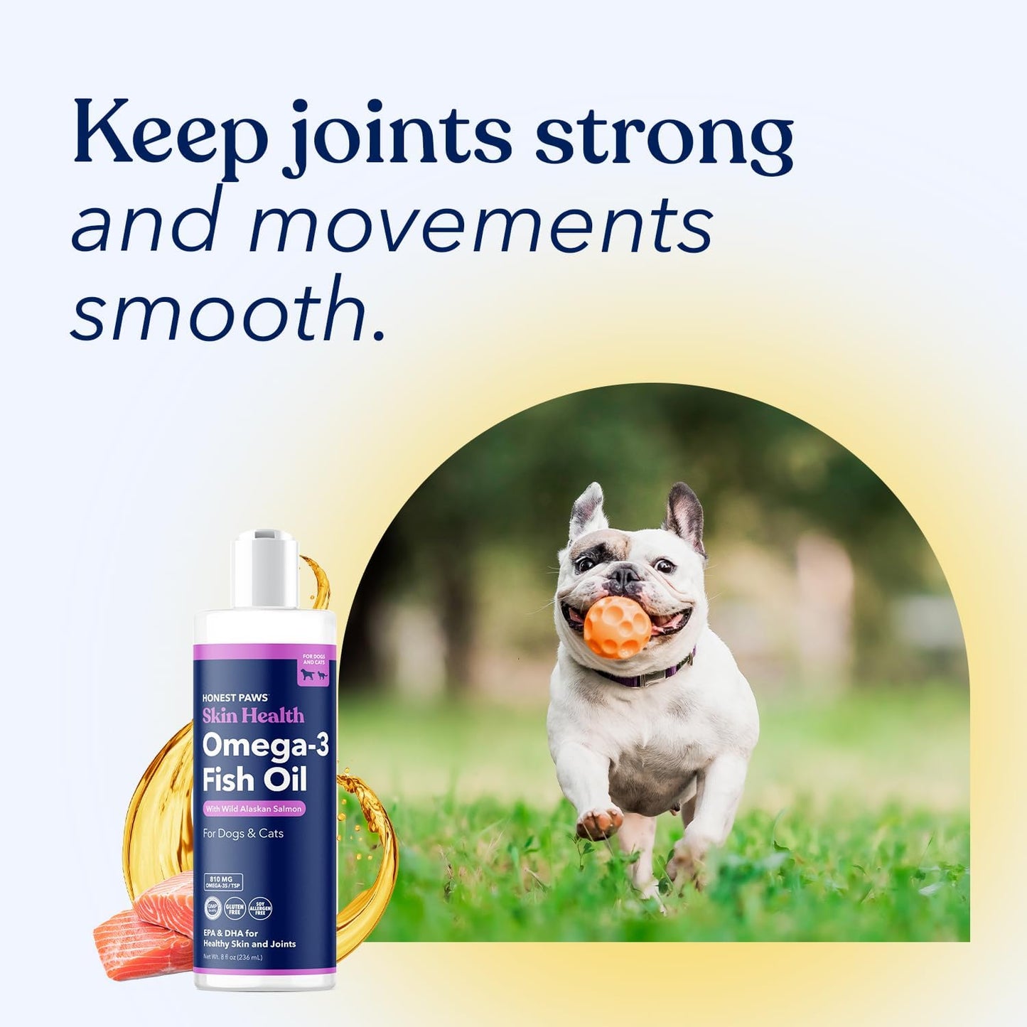 Honest Paws Wild Alaskan Salmon Oil for Dogs & Cats – Omega 3 Fish Oil Supplement for Skin, Coat, Joint & Heart Health – Natural, Sustainably Sourced, 8 oz