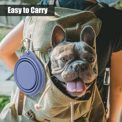 SLSON Collapsible Dog Bowls,Integrated Molding Dog Double Bowl No Plastic Rim 2 in 1 Foldable Pet Food & Water Bowl Cat Feeder Dish for Walking,Hiking,Camping (Taro Purple)