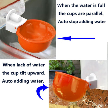 8pcs Large Automatic Chicken Waterer Cups | Chicken Water Feeder Suitable for Chicks, Duck, Goose, Turkey and Bunny | Poultry Water Feeder Kit
