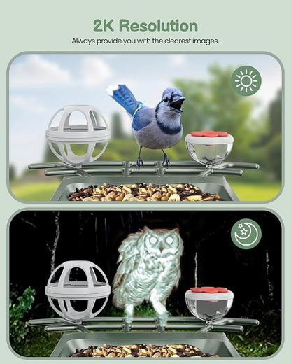 Bird Feeder with Camera Outdoor Solar: Smart Birdfeeder Cam for Outside Garden - 2K HD Live Video Camera AI Recognition Visible Window Auto Capture - Bird Lover Gifts