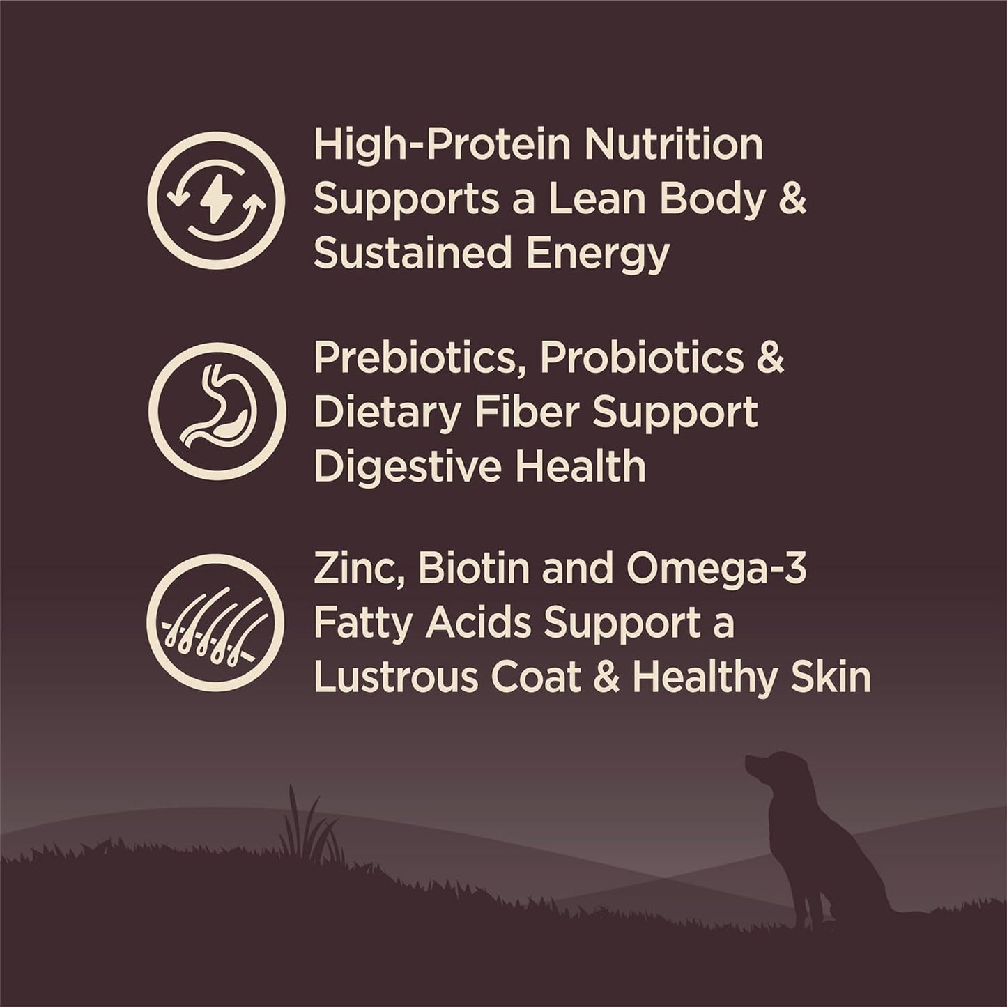 Wellness CORE Dry Dog Food, Grain-Free, High Protein, Natural, Wild Game Duck, Lamb, Wild Boar, & Rabbit Recipe, (12-Pound Bag)