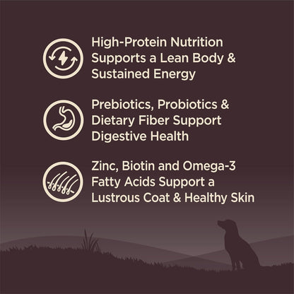 Wellness CORE Dry Dog Food, Grain-Free, High Protein, Natural, Wild Game Duck, Lamb, Wild Boar, & Rabbit Recipe, (12-Pound Bag)