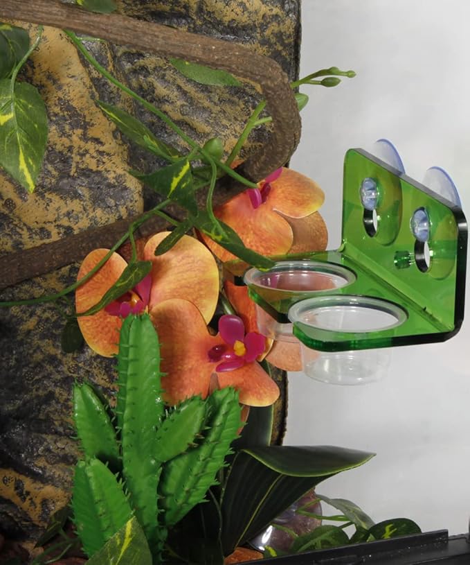 1oz Crested Gecko Food Cups, 100Pcs Reptile Plastic Feeding Dish