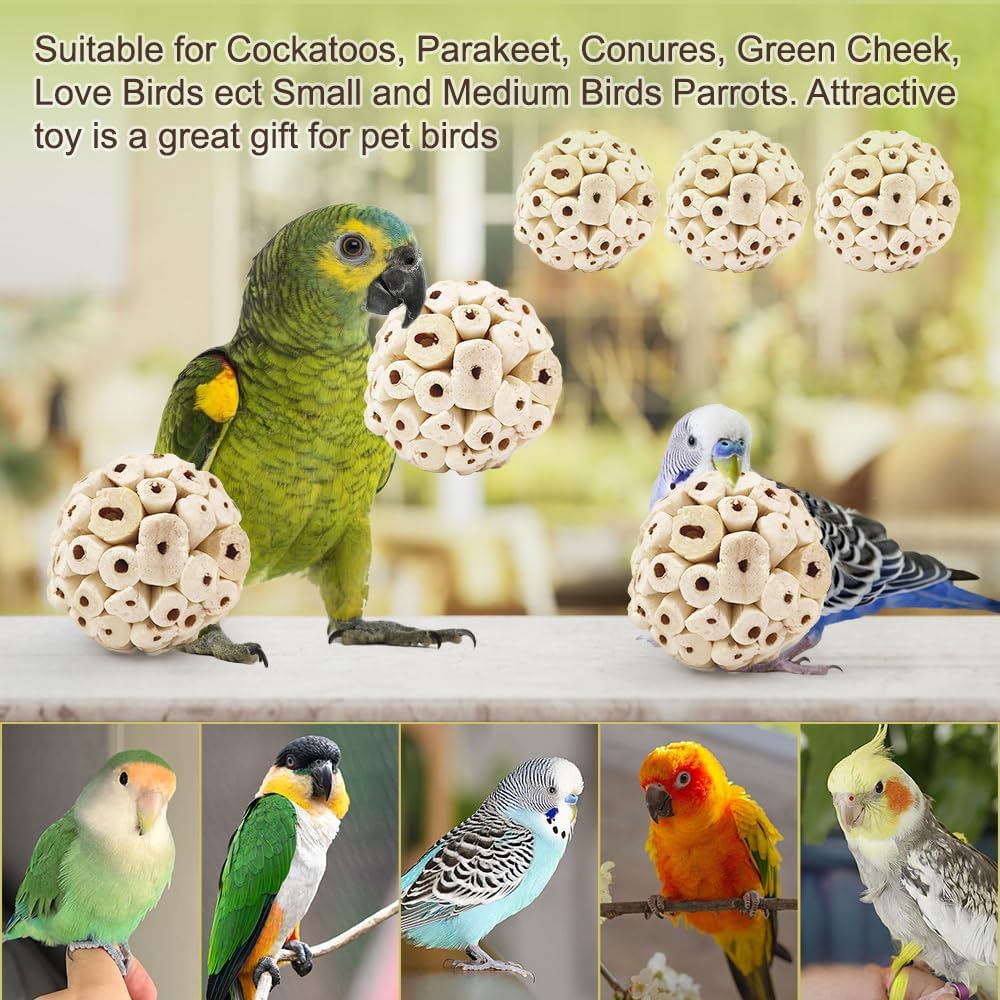 7Pcs Bird Toys for Parrots - Natural Soft Chew Shredding & Foraging Toy for Cockatiel Conure Quaker Parrot Budgie Parakeet Rabbit Bunny Guinea Pig Chinchilla