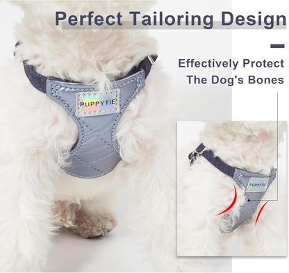 Puppytie No Pull Small Dog Harness with Multifunction Dog Leash,Lightweight Soft Adjustable No Choke Escape Proof Pet Harness Vest Pet Harness Vest,Glossy Galaxy Blue,S