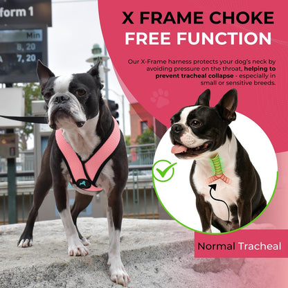 Gooby Comfort X Head In Harness - Pink, X-Large - No Pull Small Dog Harness Patented Choke-Free X Frame - Perfect on the Go Dog Harness for Medium Dogs No Pull or Small Dogs for Indoor and Outdoor Use