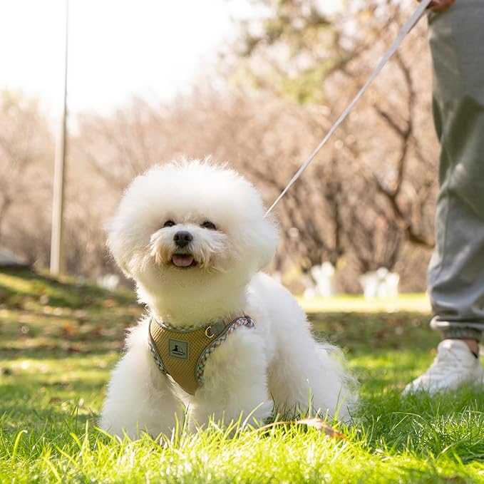 Dog Harness and Leash Set - No Pull Soft Breathable Small Dog Harness, Adjustable Reflective Step in Vest for Puppy, Kitten, Cats