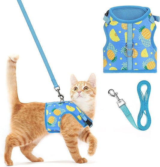 PUPTECK Soft Mesh Cat Vest Harness and Leash Set Puppy Padded Pet Harnesses Escape Proof for Cats Small Dogs Rabbits Bunny