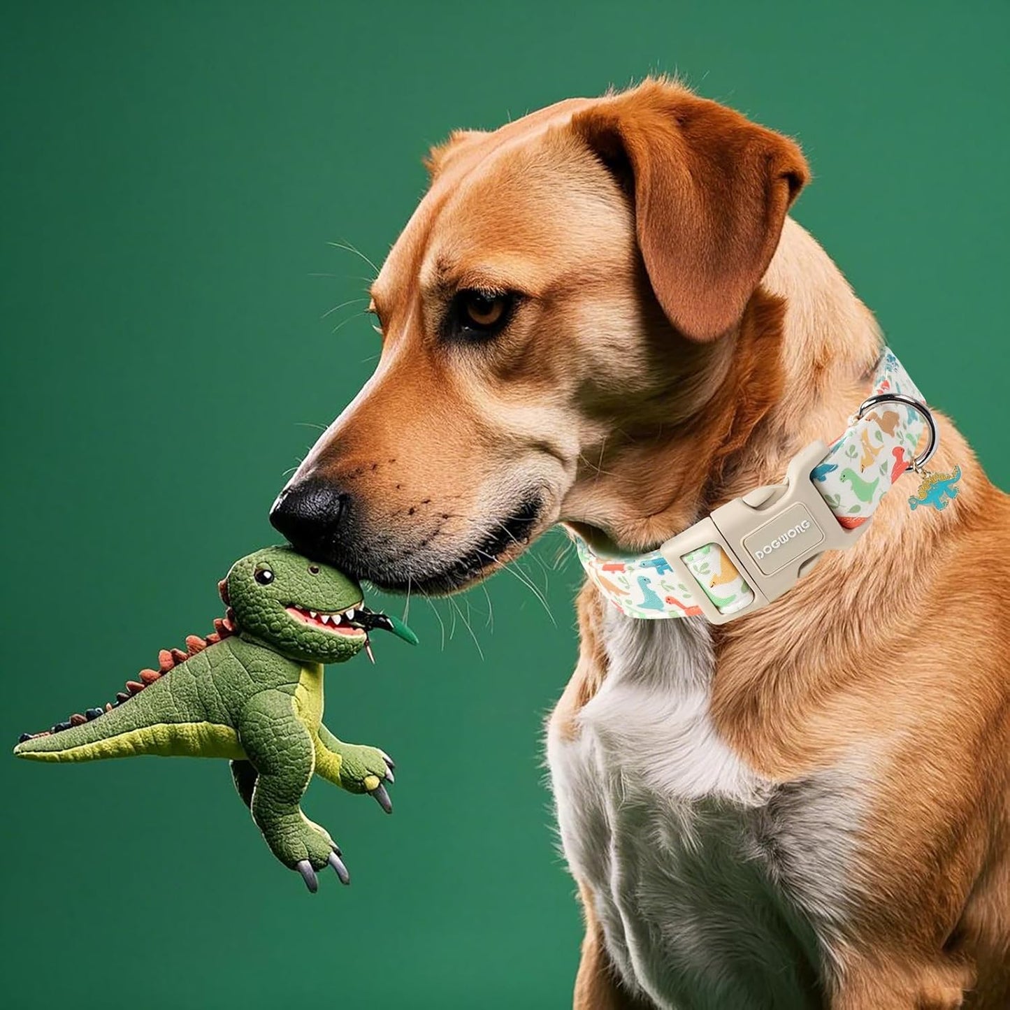 DOGWONG Whale Cotton Dog Collar, Summer Cute Shark Dog Collar Durable Soft Fabric Male Pet Dog Collars Boy Puppy Necklace for Small Medium Large Dogs