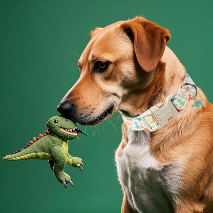 DOGWONG Whale Cotton Dog Collar, Summer Cute Shark Dog Collar Durable Soft Fabric Male Pet Dog Collars Boy Puppy Necklace for Small Medium Large Dogs