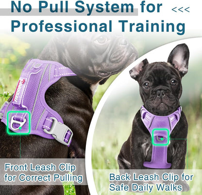 BARKBAY Dog Harness No Pull with ID Tag Pocket - Heavy Duty, Reflective, Easy Control for Large Dogs(Violet Purple,XS)