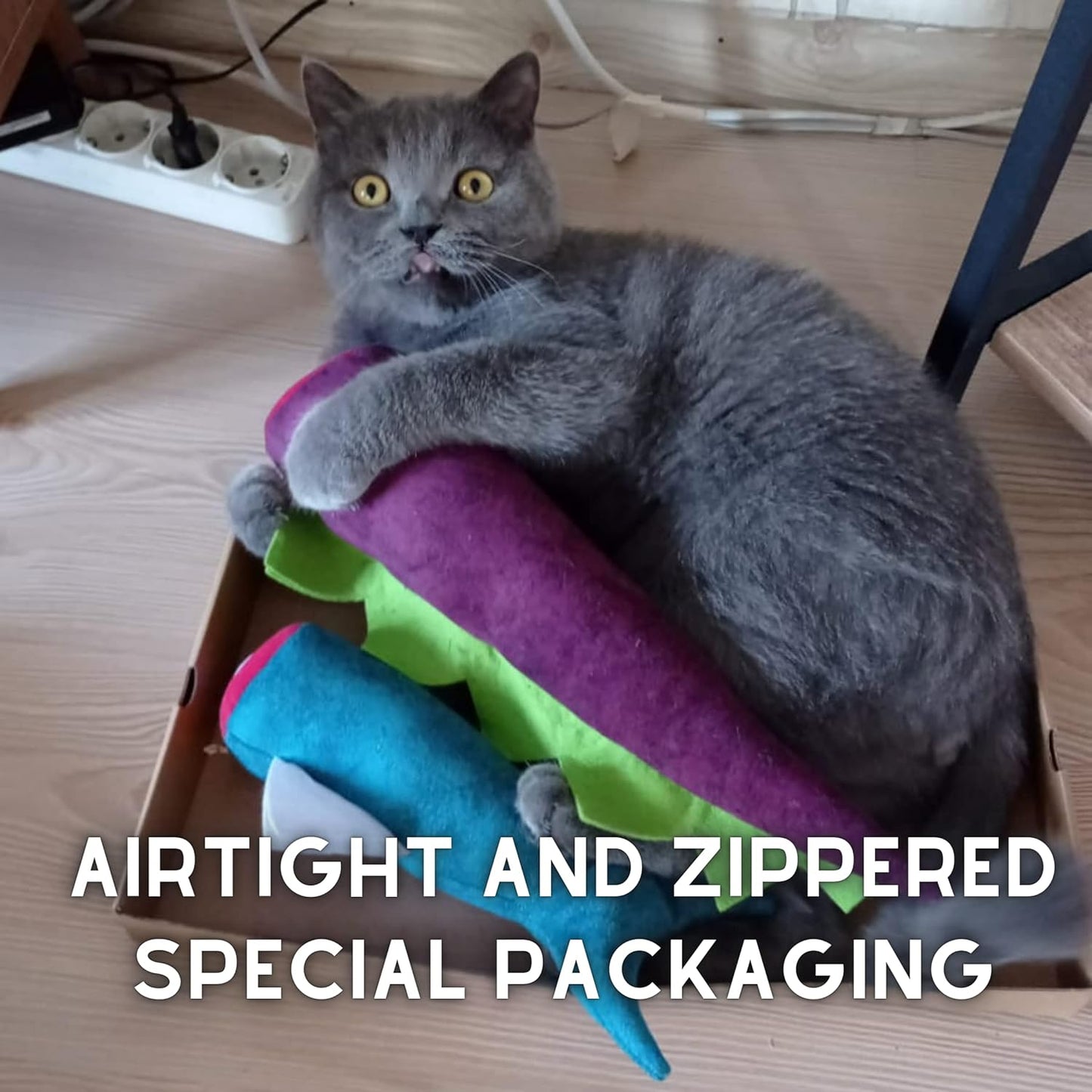 Large Cat Toy Dino, Catnip Matatabi Silvervine Filled Help Relief Stress Interactive Indoor Cat Kicker with Bell and Smell (Purple)