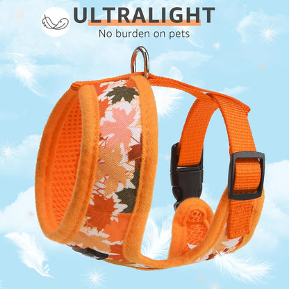 SCENEREAL Fall Dog Harness Collar and Leash Set for Small Dogs, Orange Leaf No Pull Dog Harnesses, Adjustable Step in Pet Vest for Doggie Puppy Cats Walking Outdoor, Chihuahua Yorkie Harness XS