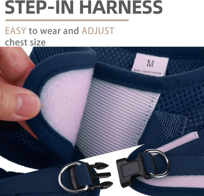 PUPTECK Adjustable Dog Harness Collar and Leash Set Step in No Pull Pet Harness for Small Medium Dogs Puppy and Cats Outdoor Walking Running, Soft Mesh Padded Reflective Vest Harnesses