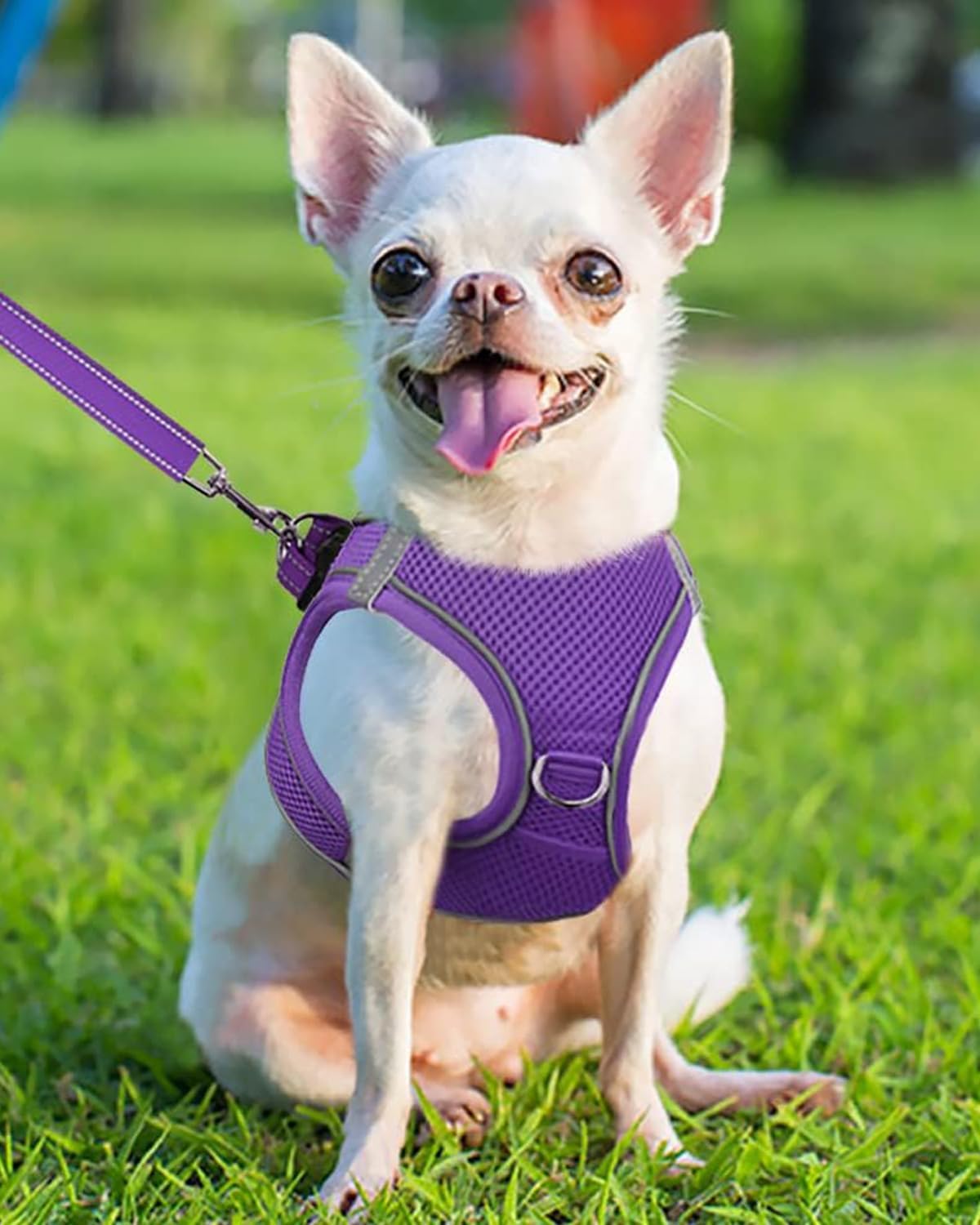 Joytale Small Dog Harness, Breathable Mesh Step-in Vest, Reflective Soft Padded Harnesses for Puppies and Extra Small Dogs, Purple, XS