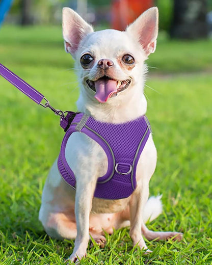Joytale Small Dog Harness, Breathable Mesh Step-in Vest, Reflective Soft Padded Harnesses for Puppies and Extra Small Dogs, Purple, XS