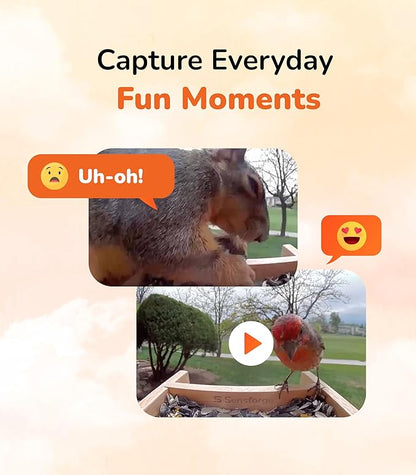 Sensforge Smart Bird Feeder with Camera - Wooden, Solar-Powered Outdoor Feeder with 2.5K HD Live View, Advanced AI Feature (6 Months Free), Weatherproof, App Alerts – Best Gift for Bird Lovers/Kids