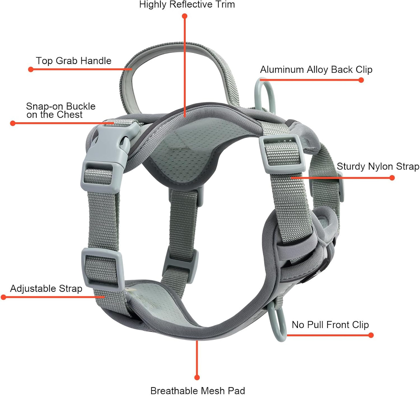 Petmolico No Pull Cute Dog Harness for Small Dogs, with Two Leash Clips and Soft Handle, Reflective Easy Walk Dog Harness- Light Green,Small