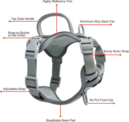 Petmolico No Pull Cute Dog Harness for Small Dogs, with Two Leash Clips and Soft Handle, Reflective Easy Walk Dog Harness- Light Green,Small