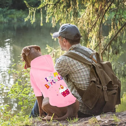 GreenJoy Dog Sweater Dog Hoodie Cold Weather Coat Hooded Sweatshirt for Puppies,Cats, Small Medium Large Dogs (Pink(It's My Birthday), Small)