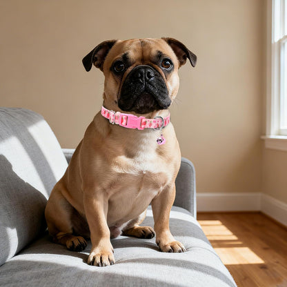 Small Dog Collar with Bell - Durable Nylon Collar for Small Breeds,Adjustable Cute Fruit Pattern Collar for Chihuahua Pomeranian Yorkie, Heavy-Duty for Active Puppies（Pink Strawberry S）