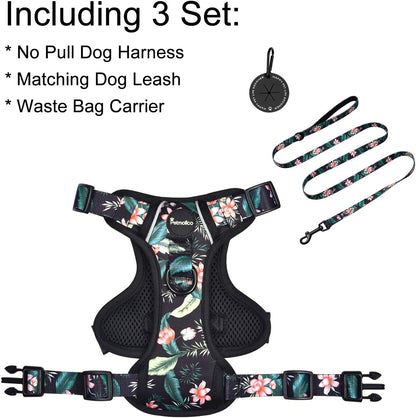 Petmolico Dog Harness for Small Dogs, Cute Harness Vest with Two Leash Clips and Soft Handle, Reflective Easy Walk Puppy Vest - Black Lotus, X-Small