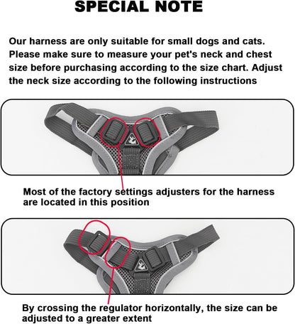 SOLMOONY Small Dog Harness,Soft Mesh Puppy Harness and Leash Set,No Escape Cat Harnesses for Training Walking,Reflective Adjustable Puppy Vest for Small Medium Dogs, Cats (Grey, S)