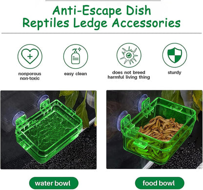Tfwadmx 2 Pcs Reptile Feeder Chameleon Bowl Water Dish with Suction Cup Gecko Worm Feeder Anti-Escape Chameleon Supplies Accessories for Iguana Lizard Bearded Dragon Snakes （Green,L）