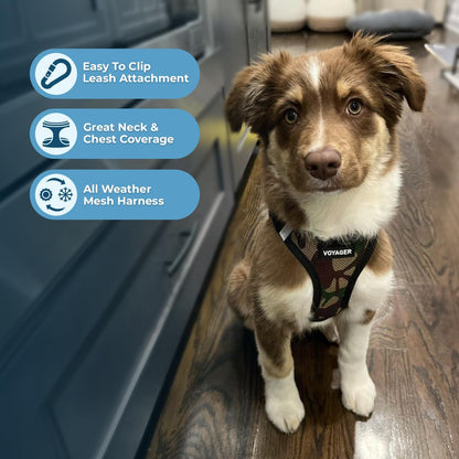 Best Pet Supplies Voyager Step-in Air Harness - All Weather Mesh, Reflective, No Pull Harness for Dogs, Cats - Secure with Hook & Loop Fastener, Buckle, Double D-Rings - Army/Black Trim, L