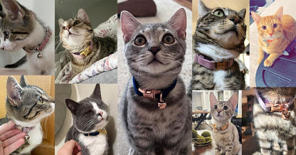 Personalized Cat Collar with Bells,Velvet Customized Small Cat Collar with Name Tag,Pet Collar with Name Phone Number Engraved ID Tags for Boy and Girl Kitten Cats (Brown)