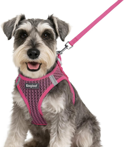 Eagloo Small Dog Harness and Leash Set, Step in Puppy Vest with Breathable Soft Mesh, Walking Reflective Pet Harness for Small Dogs, Rose Red, S