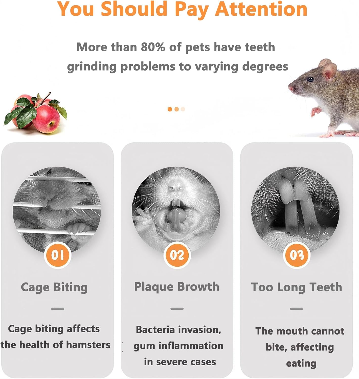 Apple Branch Rabbit Chew Toys: 2 Pcs Chewing Sticks for Guinea, Hamsters, Pigs, Bunnies, Chinchillas, Small Pets - Wooden Molar Teeth Grinding Treats for Rodents