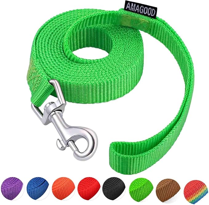 AMAGOOD 6 FT Puppy/Dog Leash, Strong and Durable Traditional Style Leash with Easy to Use Collar Hook,Dog Lead Great for Small and Medium and Large (Green,5/8" x 6 Feet)