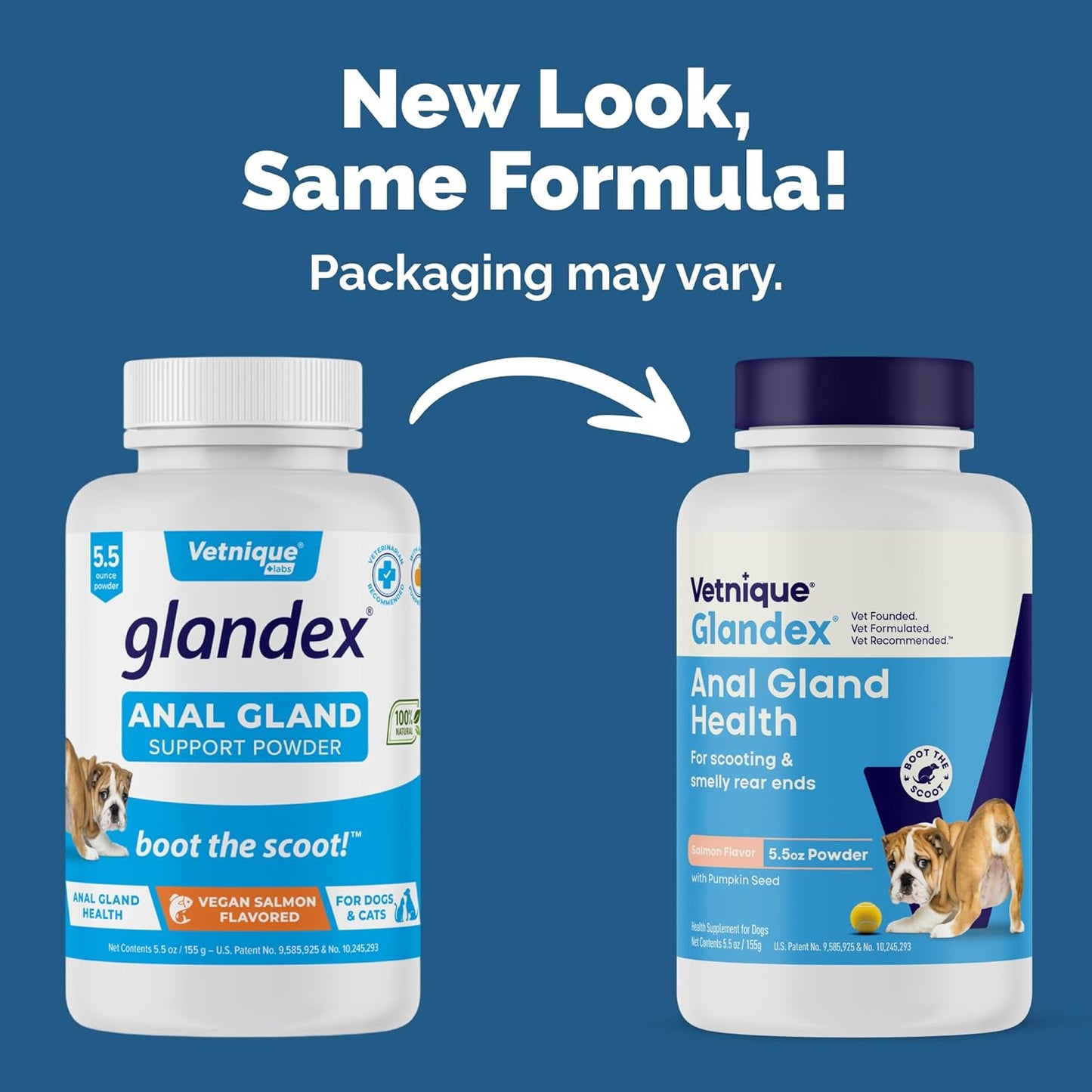 Vetnique Glandex Dog Fiber Supplement Powder for Anal Gland Health with Pumpkin, Digestive Enzymes & Probiotics - Vet Recommended (Regular or Advanced Strength) - Boot The Scoot (5.5 oz, Salmon)
