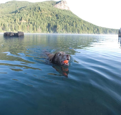 Chuckit! Ultra Ball Dog Toy - Size XL - For Dogs 100+ lbs - Made from Durable Rubber - Super Bouncy - Floats in Water - 3.5-inch Diameter - Pack of 1