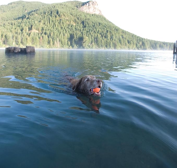 Chuckit! Ultra Ball Dog Toy - Size XL - for Dogs 100+ lbs - Made from Durable Rubber - Super Bouncy - Floats in Water - 3.5-inch Diameter - Pack of 2