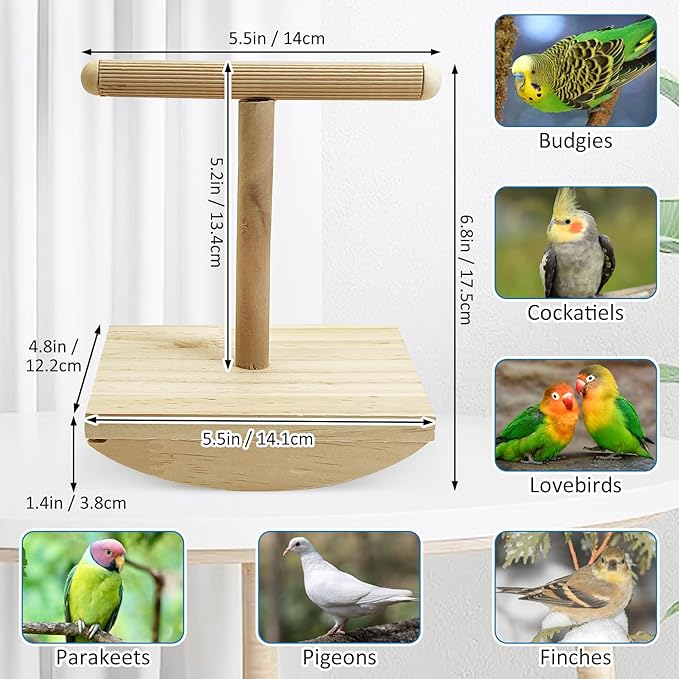 kathson Bird Training Stand, Parakeet Playground Bird Perch Platform Portable Tabletop Parrot Perch T Shaped Cockatiel Play Stand for Parakeet Conure Lovebird Cockatiel