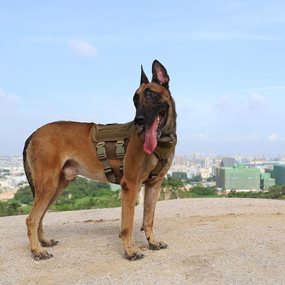 ICEFANG Tactical Mesh Dog Harness for Medium Dogs,Reflective Dog Molle Vest with Metal Buckles,Hook and Loop Panels,No Pulling Front Clip for Walking Hiking Training (Medium (Pack of 1), Brown)