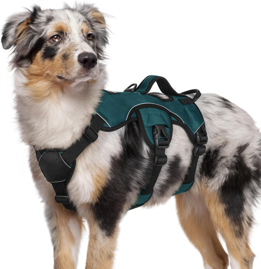 rabbitgoo Escape Proof Dog Harness Medium, Soft Padded Full Body Pet Harness, Reflective Adjustable No Pull Vest with Lift Handle and Leash Clip for Walking Hiking Training, Dark Green, M