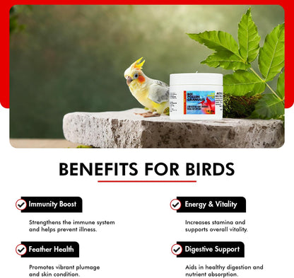 Morning Bird Bee Pollen Granules 1 Oz – Naturally Immune Support & Protein Powder for Birds – Boosts Strength, Feather Health & Energy Supplements – Easy to Mix with Food for All Bird Types