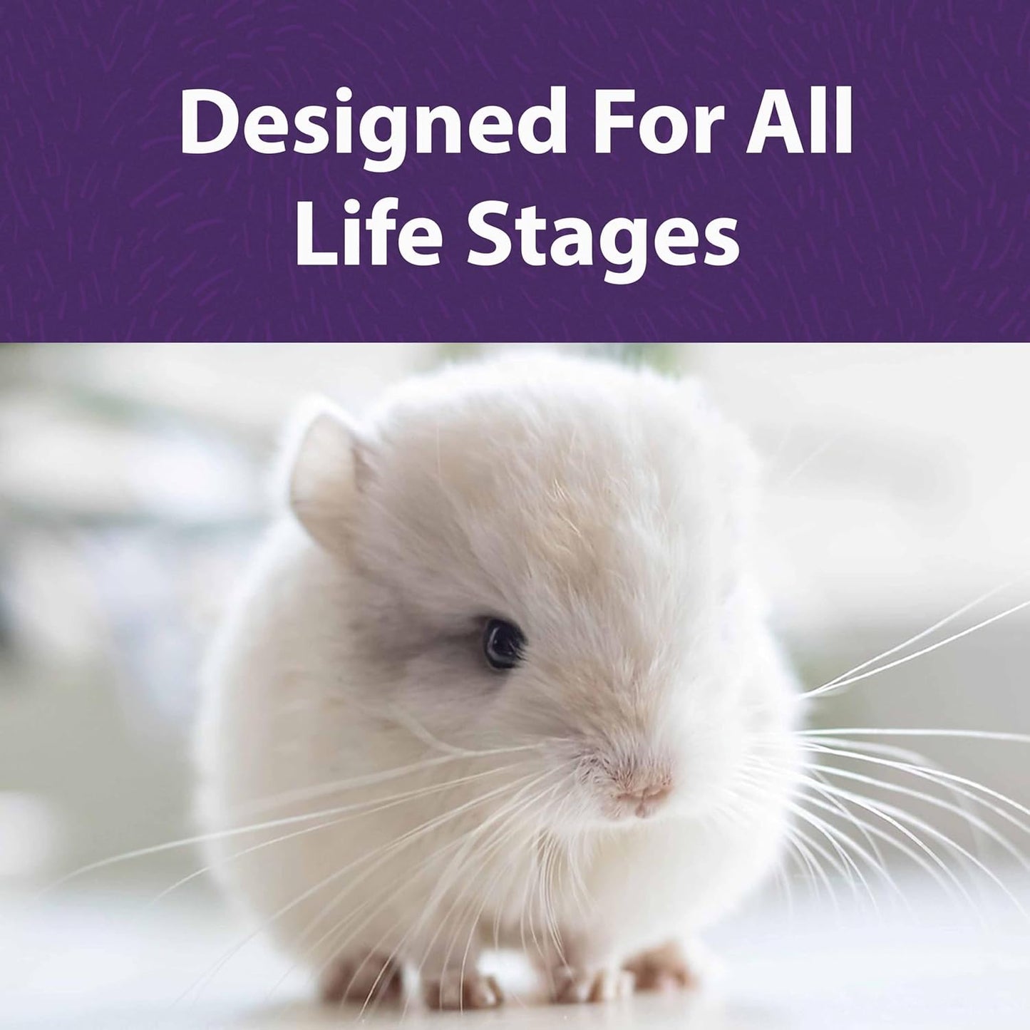 Mazuri | Chinchilla Diet | 25 Pound (25 lb.) Bag