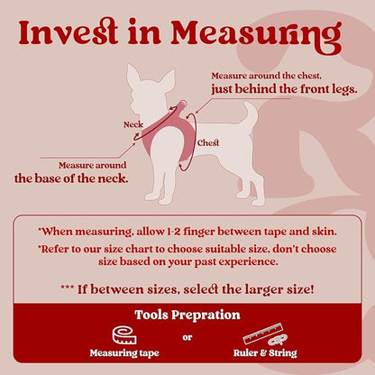 rabbitgoo Small Dog Harness, Step-in Soft Mesh Puppy Vest with Safety Buckle, Breathable Reflective Pet Harness for Small Medium Dogs, Red XL