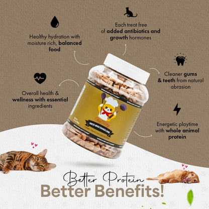 Freeze-Dried Chicken Liver Treats for Cats & Dogs – 100% Human Grade, Single Ingredient, High-Protein, Healthy Snack – No Additives or Preservatives – 3.1oz - Inspected & Tested in USA