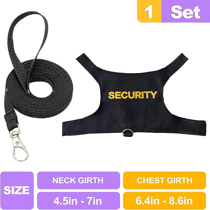 Bearded Dragon Harness & Leash Kit, Escape-Proof Adjustable Lizard Lead for Walking, Fun Costume Accessory