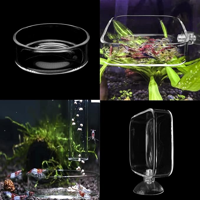 Aquarium Shrimp Feeder Dish Glass Fish Tank Feeding Bowls, 2pcs Square Glass Food Bowl (60mm), 1pcs Round Fish Feeding Bowls with Suction Cups (60mm)