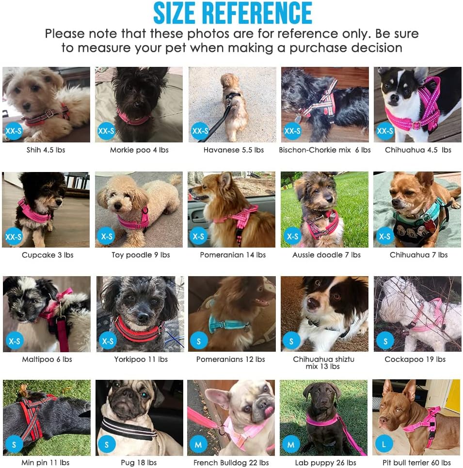 Lukovee No Pull Dog Harness and Leash Set, Soft Padded Small Dog Harness, Neck & Chest Adjustable Reflective Vest Puppy Harness with 4ft Lightweight Anti-Twist Dog Leash for Small Dogs (M, 01-LBL)