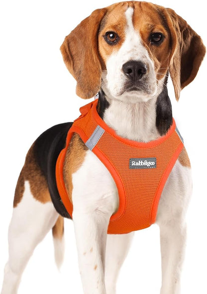 rabbitgoo Small Dog Harness, Step-in Soft Mesh Puppy Vest with Safety Buckle, Breathable Reflective Pet Harness for Small Medium Dogs, Orange XL